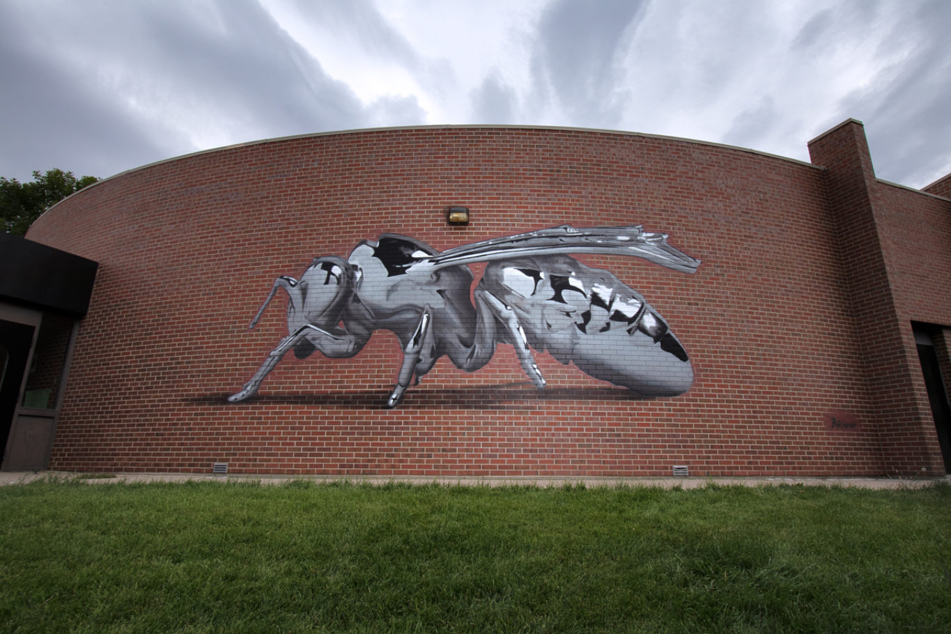 image15